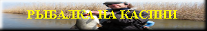Астрахань гостиницы, астрахань турбазы, дельта волги, астрахань рыбалка, астрахань охота, астрахань экскурсии, астрахань отдых, астрахань путешествия, астрахань тур, астрахань туроператор, рыболовная база, астраханская область, астраханский союз туроператоров, бронирование турбаз, бронирование гостиниц, астрахань интурист, турбаза лотос, турбаза ольга, турбаза взморье, турбаза орлан, пляжный отдых, обучение танцу, деловой туризм, астрахань деловая, оздоровительный туризм, астрахань спа, экскурсия лотос, астраханский кремль